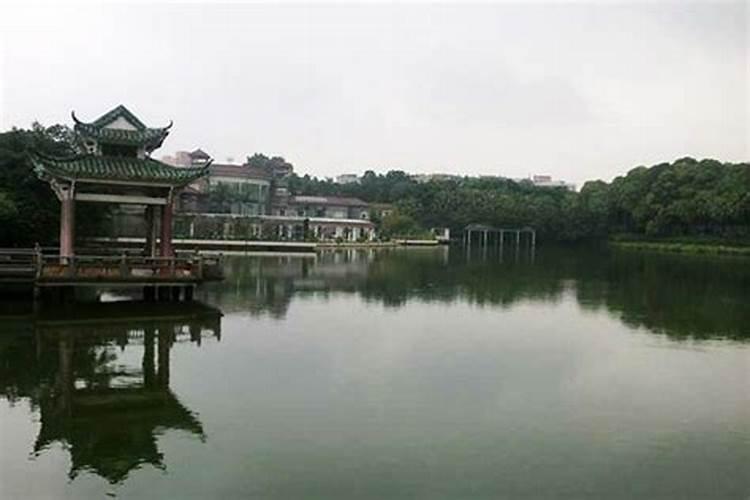 帝师是谁石湾至尊帝师是谁