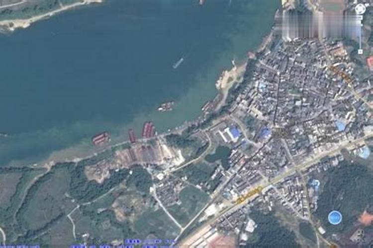 大师我家住公路边上的,公路对面邻居几年前种了一棵枇杷树高度是一层...