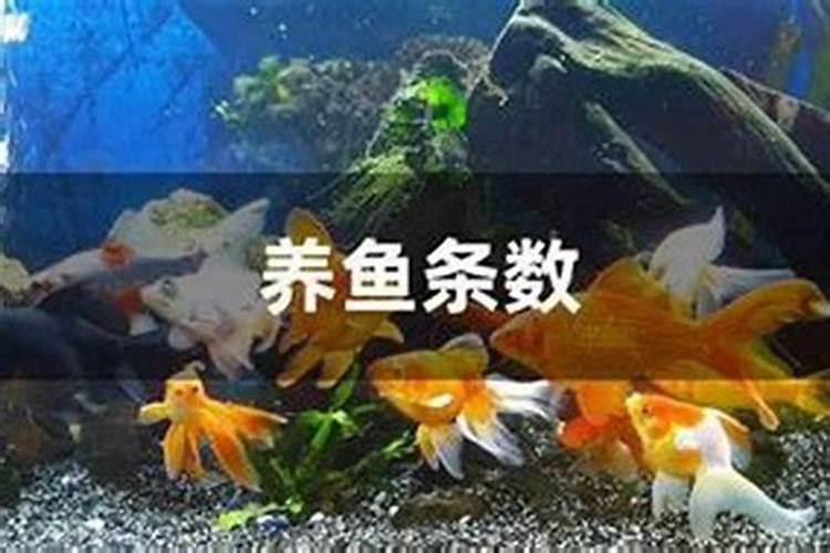 什么风水最旺怀孕生子的人