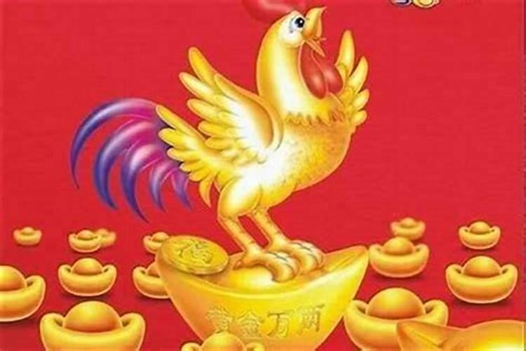 71年属猪人的命理与风水