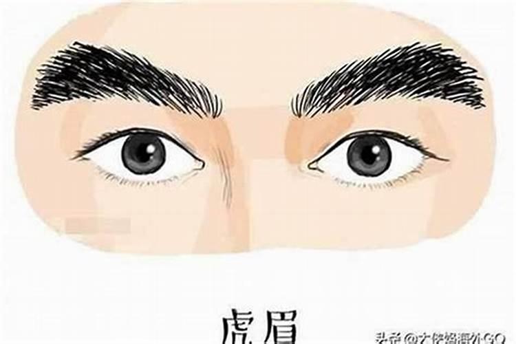 男人的眉毛就是财