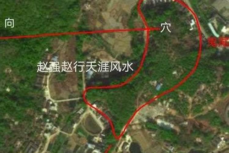 南山寺现任住持