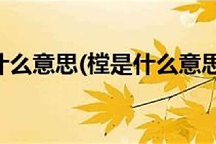 对风水先生的讽刺