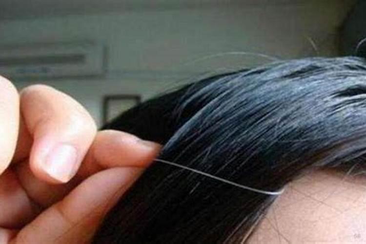 女主人头发白与居家风水有关吗