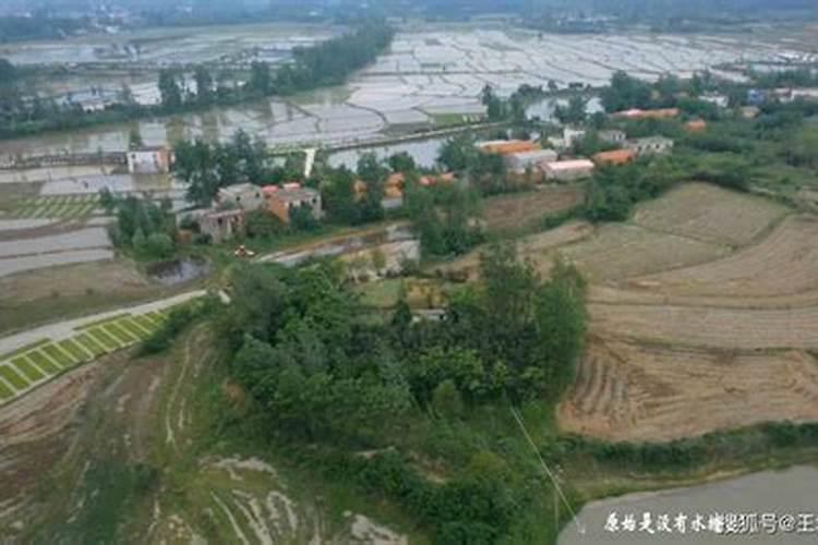 算命准的地方、算命最厉害大师,南阳市