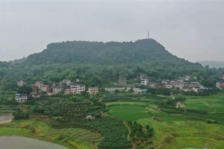重庆哪个区风水好