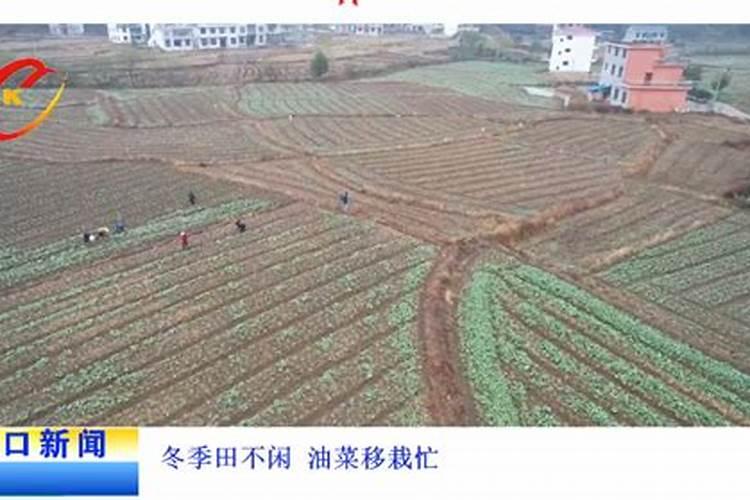 秦始皇的坟墓是什么样的？在哪里？