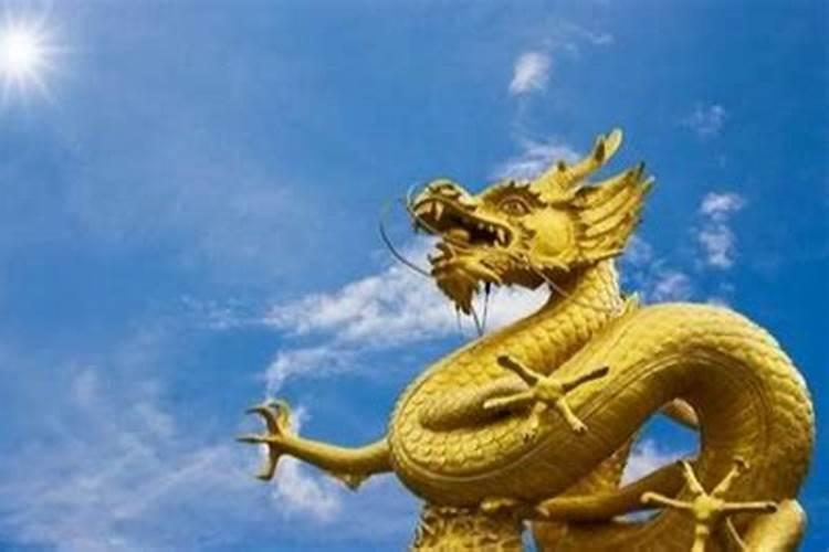 属龙办公室风水注意事项 布局首重旺财财位