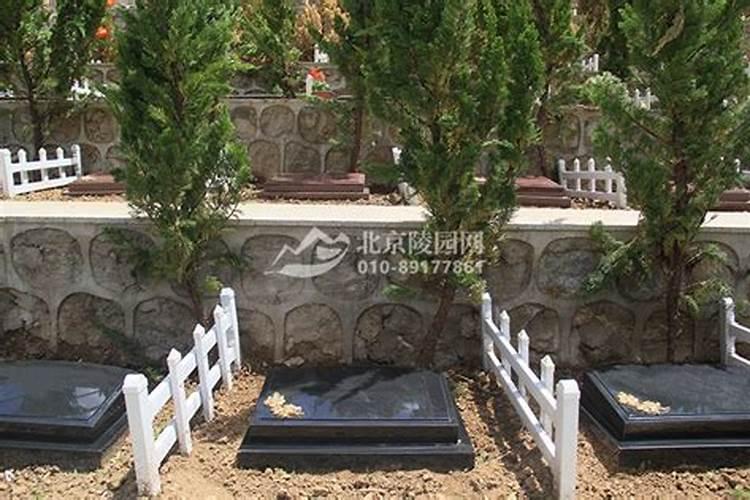 祖坟不好如何改运