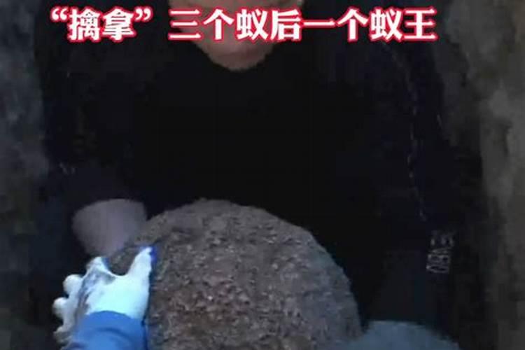 家中不要动土什么意思？