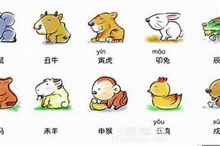给老人迁坟有什么讲究