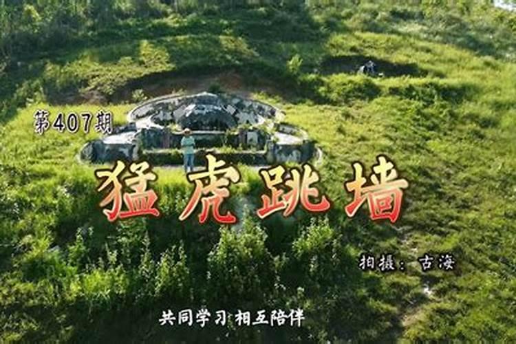我想知道梅州丰顺县姓杨的那几个镇有？那个镇多点？还有最靠近丰顺中学...