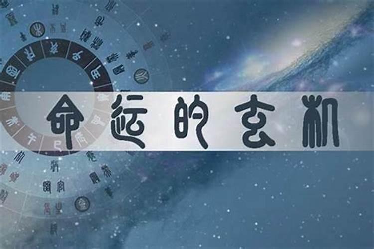 风水宝地属于什么生肖,风水代表什么生肖