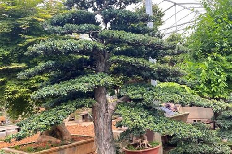 独立办公室风水要如何布局