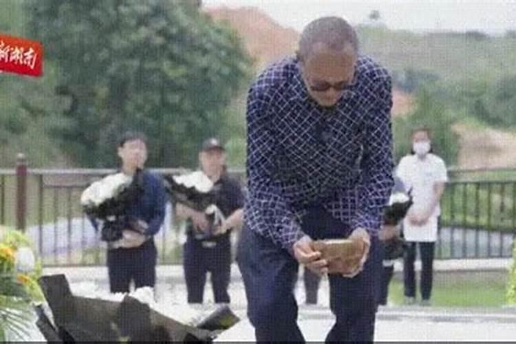 我们家的墓地旁边有棵死树。会对我们家有什么影响吗？望请高人开示...