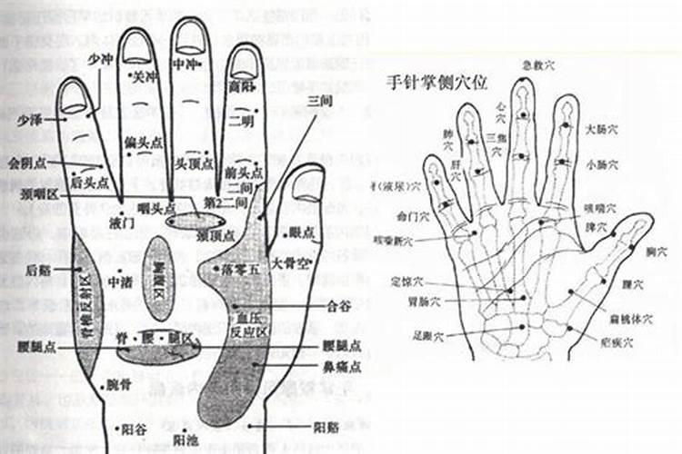 倪海厦伤寒杂病论心法笔记(四三)
