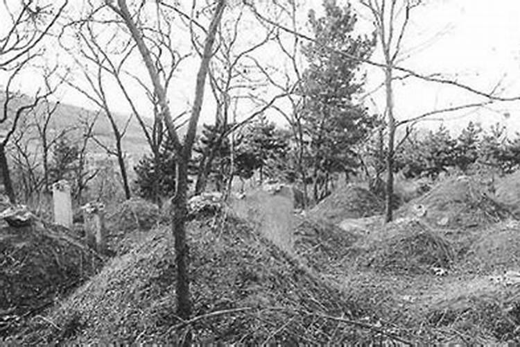 蒋介石看风水选墓地
