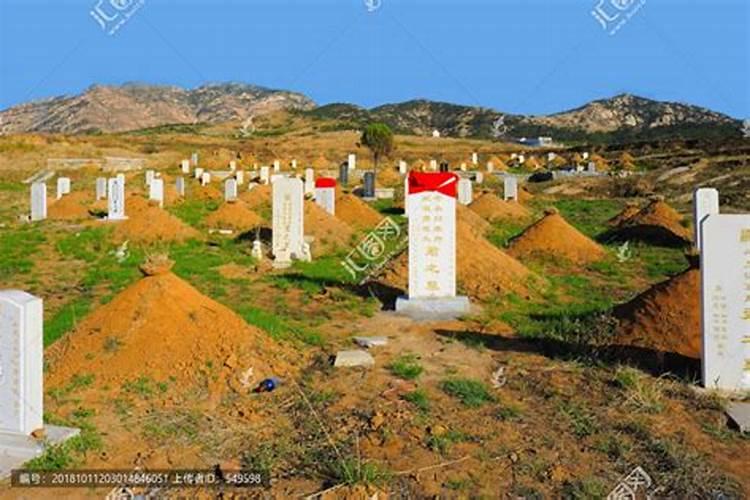 赵忠祥的墓地选择哪？