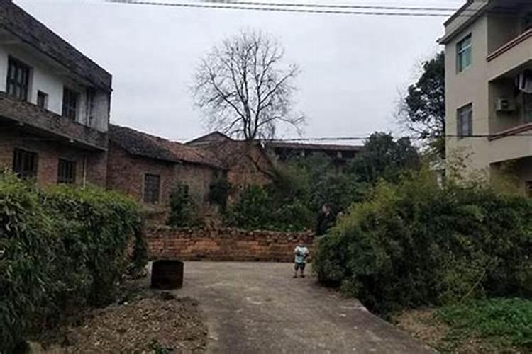 山东王丽芬算命先生是谁