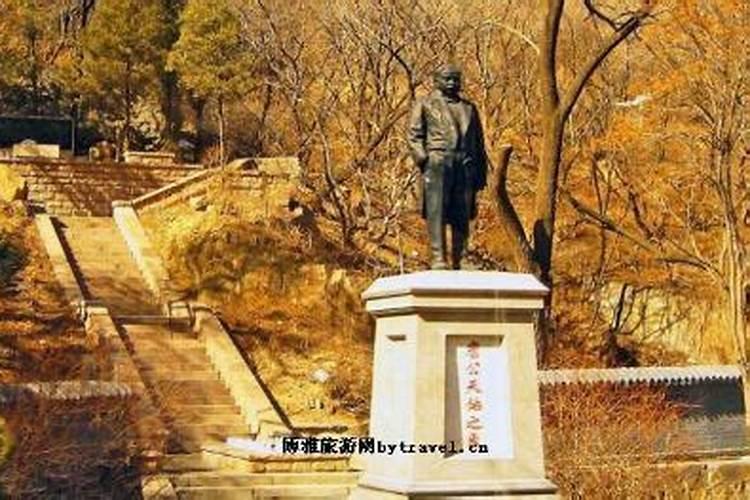 正对大门口栽什么树旺财 门口栽哪些树镇宅旺财