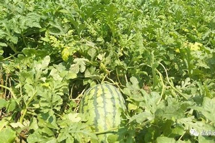 办公室四个风水方位哪个方位是最好的