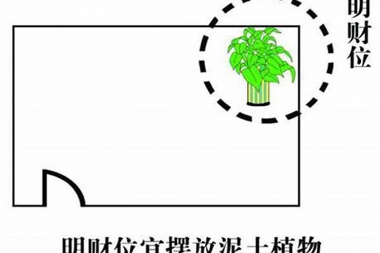 横州是哪个省的城市