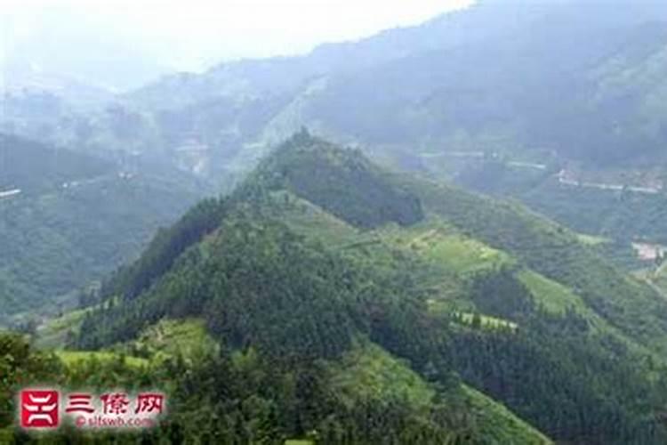大象摆件放在哪里好,怎么摆风水最好