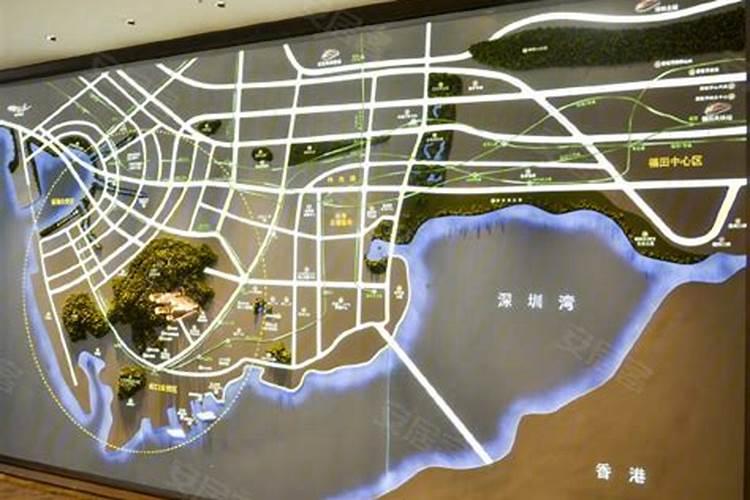 蛇口临海揽山是墓地吗