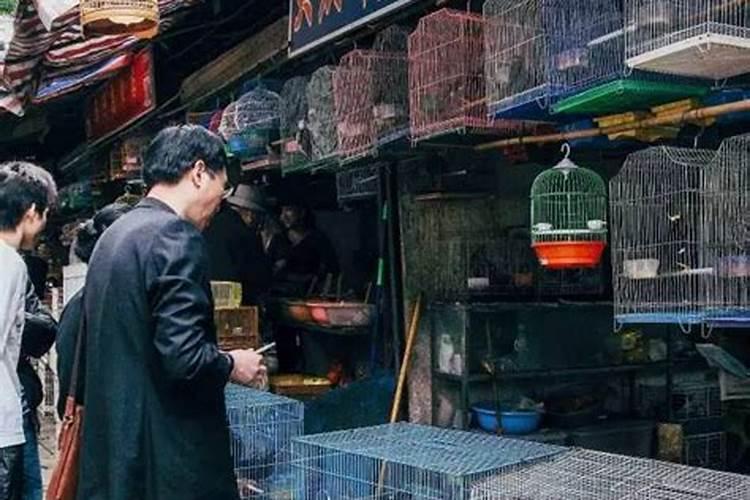 风水亭地址在哪里？