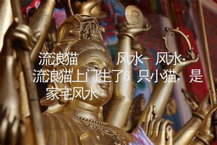 寺庙,道观,城隍庙附近的住宅风水怎样？
