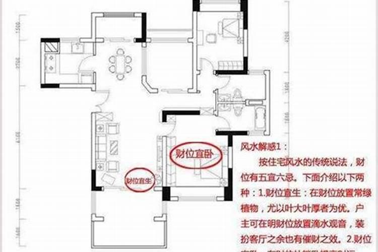 办公室财位的位置以及旺财的方法办公室财位怎么找？