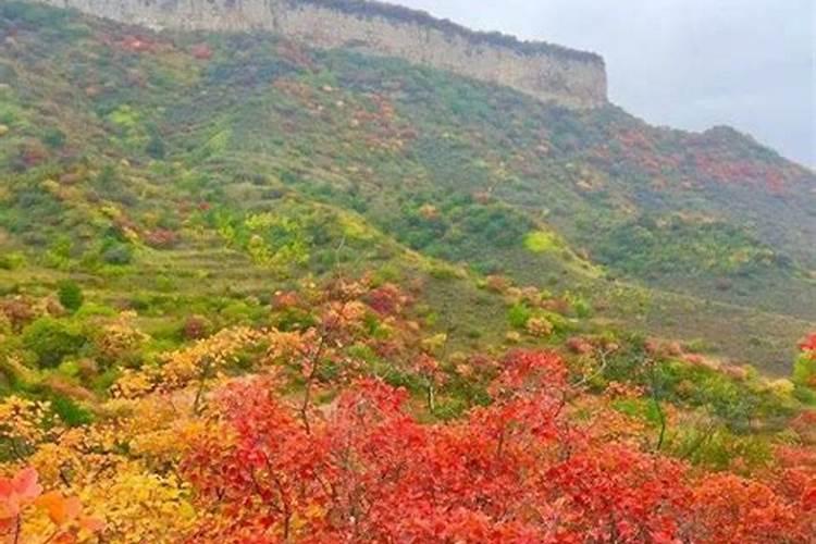 石家庄周边墓地哪个好