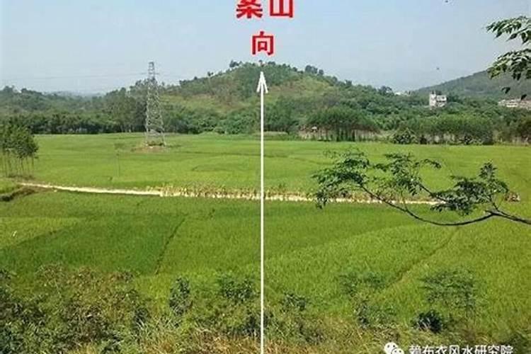 爸爸姓杨妈妈姓田男孩取什么名字好听？