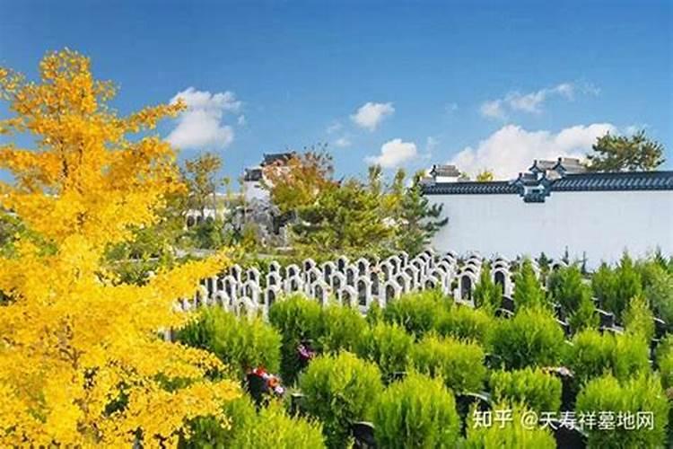 天津看风水谁最好？天津最好的风水大师是谁？