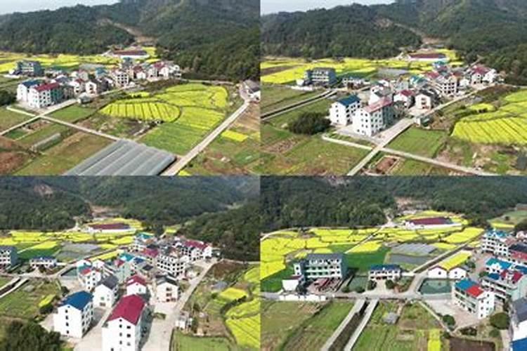 四川宽窄巷子的导游词