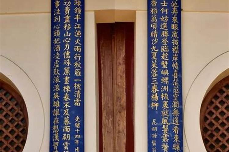 家里养什么鱼最旺风水,家里养什么鱼最好