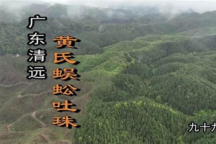 清远陵园哪个风水