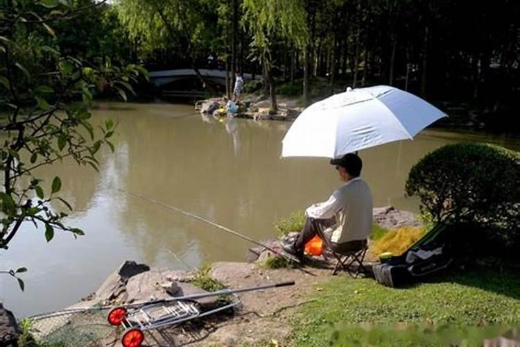 钓鱼的影响财运吗？