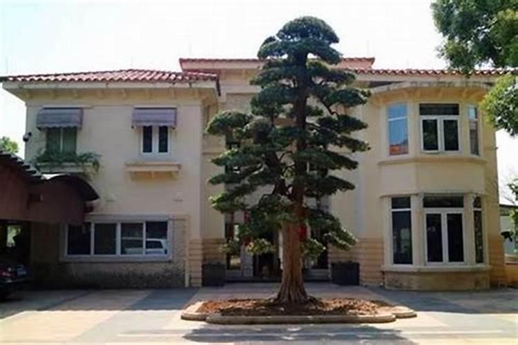 学风水知识哪个网站好,简单风水学知识