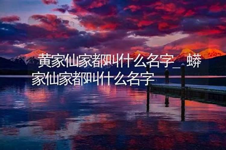 出黑是什么仙家