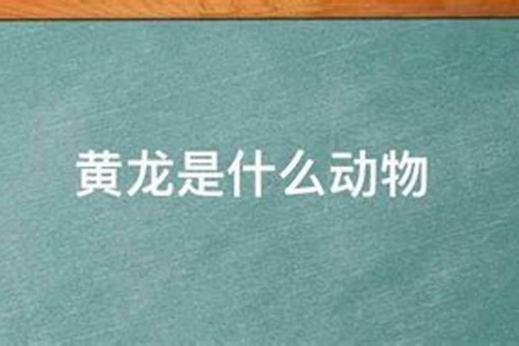 阴宅风水的歌诀口诀的有哪些知识