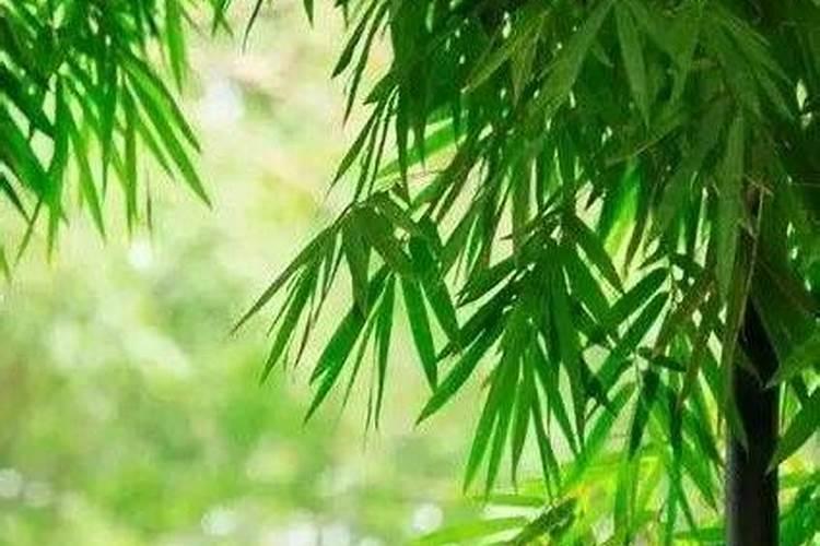 客厅上方挂什么最旺风水