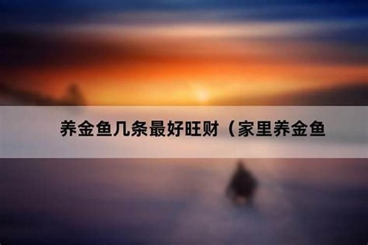 什么人养鱼最旺风水