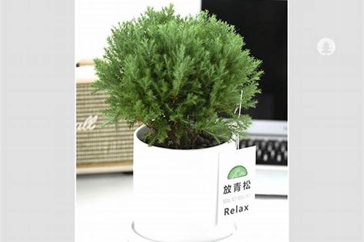 天然气管道铺设,要离住宅多远？有没有规定？ 我们小区一楼是一排饭店...