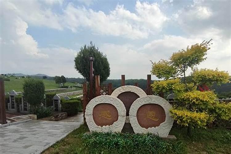 冬天适合养在办公室里的植物有什么推荐？