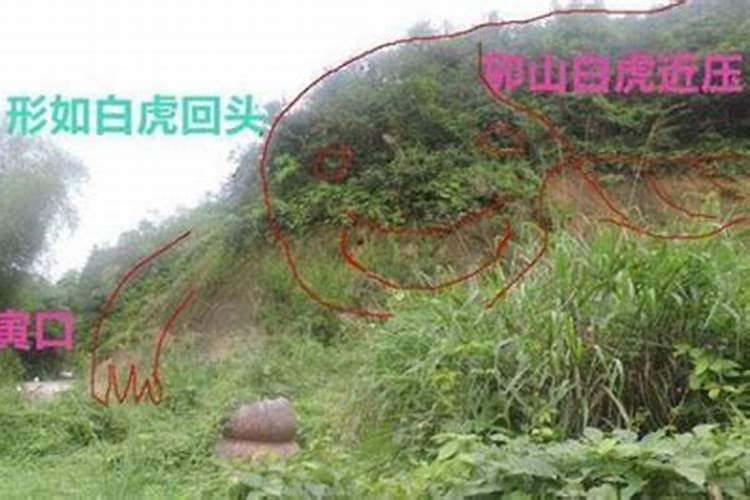 四川旅游景点大全四川省旅游景点大全