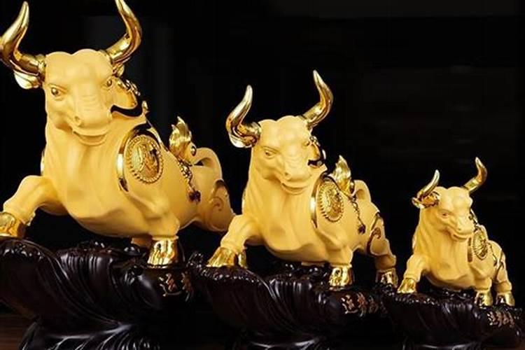 金牛代表什么风水