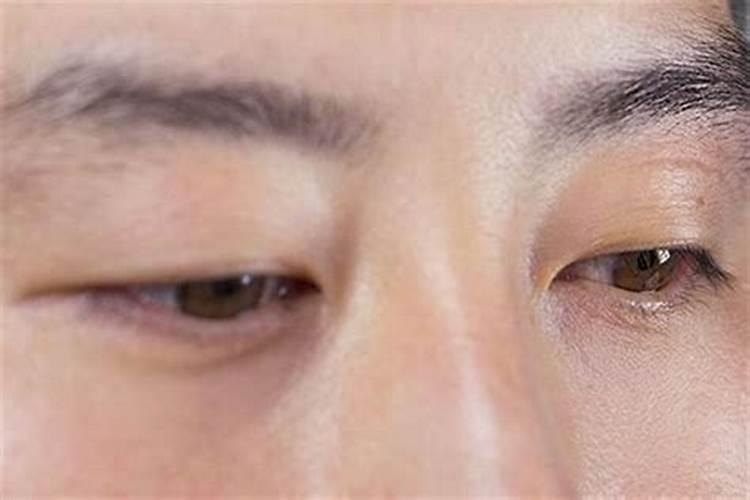 全能老爸设计透明屋顶鱼池,梦幻阳台满足全家需求,阳台养鱼需要注意什 ...