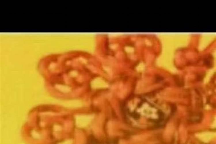 谭姓字辈