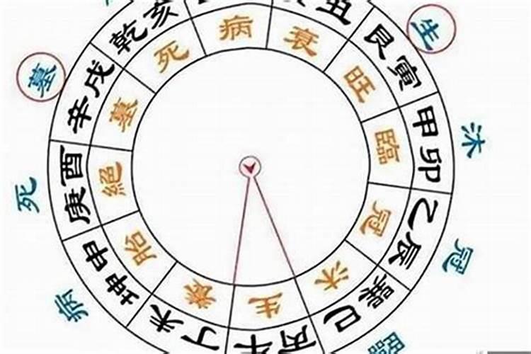 景观设计是做什么的